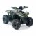 Квадроцикл детский электрический OMA Electric ELF-750 Dark green