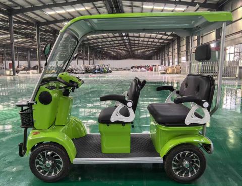 Гольфкар GreenCamel Сонора A3 ECO (3 seats 1000W R8) 