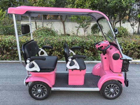 Гольфкар GreenCamel Сонора A3 ECO (3 seats 1000W R8) 