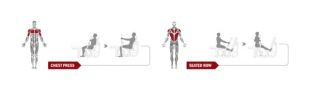 Силовой тренажер Spirit Fitness DWS101-U2 (Жим от груди/гребная тяга)