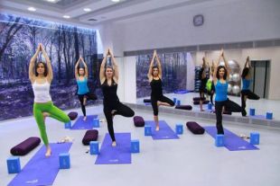 Блок для йоги AeroFIT AFBL01 (синий)