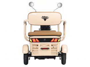 Электротрицикл Rutrike Gelbert Atlas 48V/60V 600Вт