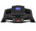 Беговая дорожка Carbon Premium World Runner T2
