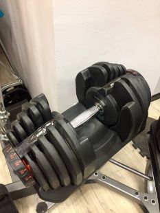 Регулируемая гантель Proxima Gigant 40 кг (витринный экземпляр)