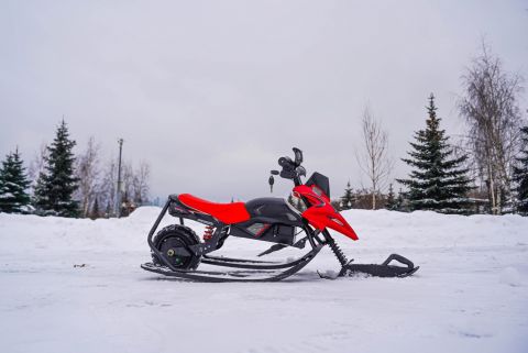 Электроснегокат WHITE SIBERIA BELЁК 800W