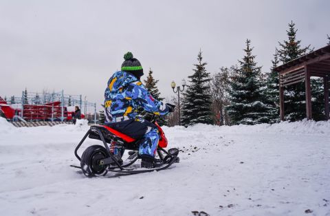 Электроснегокат WHITE SIBERIA BELЁК 800W