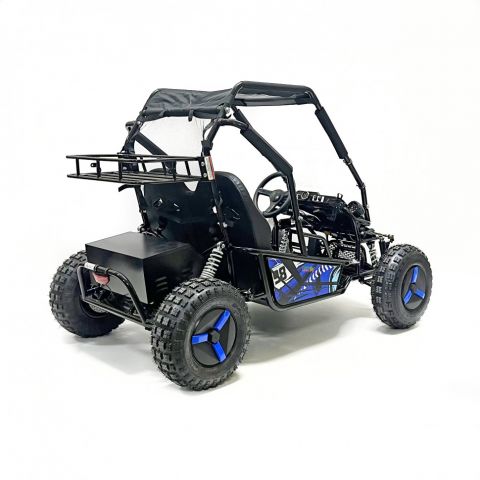 Багги GreenCamel Намиб T10 (60V 2000W R8 Дифф)