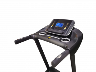 Беговая дорожка электрическая Royal Fitness RF-6